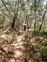 The trail along the ridgeline