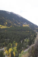 Fall colors along Loveland Pass Road