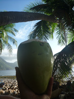 Coconut time