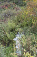 Small waterfalls still flow on the road to the Dierkes lake, even in the autumn