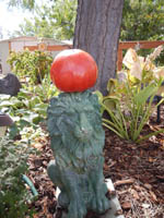 The giant tomato makes the rounds of Mom's garden, courtesy of Moon